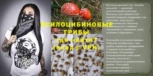 не бодяженный Бородино