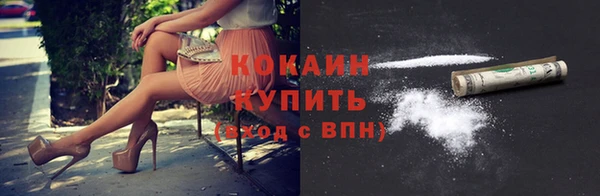 сатива Бронницы