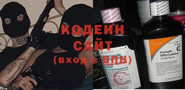 гашик Сосновый Бор