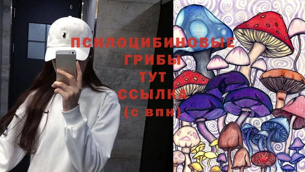 сатива Бронницы